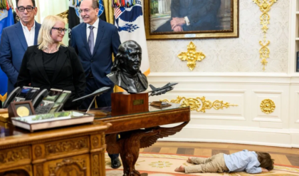 হোয়াইট হাউসে ট্রাম্পের সামনেই মেঝেতে গড়াগড়ি! কে এই খুদে শিশু, যার কাণ্ড দেখে হাসলেন মার্কিন প্রেসিডেন্ট?