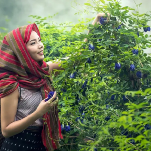 দিনভর দুশ্চিন্তা আর টেনশন পিছু ছাড়ছে না? হাতের কাছেই রয়েছে মুক্তির এই জাদুকরী চাবিকাঠি!
