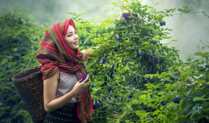 দিনভর দুশ্চিন্তা আর টেনশন পিছু ছাড়ছে না? হাতের কাছেই রয়েছে মুক্তির এই জাদুকরী চাবিকাঠি!