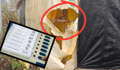 ভোট মিটতেই নদীয়ায় তুলকালাম! ডিসিআরসি-র ছেঁড়া ত্রিপল ঘিরে ইভিএম বদলের বিস্ফোরক অভিযোগ!