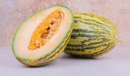 ডায়াবেটিস থাকলে কি ফুটি খাওয়া নিরাপদ? চিনি বাড়াবে না কি কমাবে? উত্তর চমকে দেবে আপনাকে!