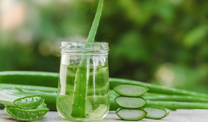 বাজারের সানস্ক্রিন কি ত্বক নষ্ট করছে? বাড়িতেই তৈরি করুন জাদুকরী অ্যালোভেরা ক্রিম!