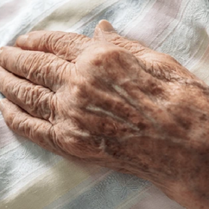 ভোটার তালিকা থেকে নাম বাদ! আতঙ্কে ট্রাইবুনালের লাইনেই মৃত্যুর কোলে ঢলে পড়লেন বৃদ্ধ ভোটার তালিকা থেকে নাম বাদ! আতঙ্কে ট্রাইবুনালের লাইনেই মৃত্যুর কোলে ঢলে পড়লেন বৃদ্ধ