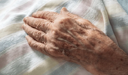 ভোটার তালিকা থেকে নাম বাদ! আতঙ্কে ট্রাইবুনালের লাইনেই মৃত্যুর কোলে ঢলে পড়লেন বৃদ্ধ