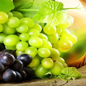 বুজ নাকি কালো? কোন আঙুর খেলে দূরে থাকবে মরণব্যাধি, উত্তর জানলে অবাক হবেন!