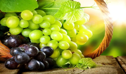 বুজ নাকি কালো? কোন আঙুর খেলে দূরে থাকবে মরণব্যাধি, উত্তর জানলে অবাক হবেন!