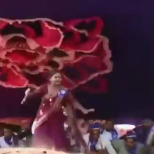 গানের তালে নাচছিলেন শিল্পী, আচমকাই হুড়মুড়িয়ে ভেঙে পড়ল আস্ত স্টেজ! হাড়হিম করা ভিডিও ভাইরাল