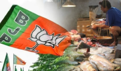 মাছ-ভাত নিয়ে রাজনীতি! বাংলার মানুষের খাদ্যাভ্যাস নিয়ে বিরোধীদের ‘গুজব’ ফাঁস করলেন শাহ