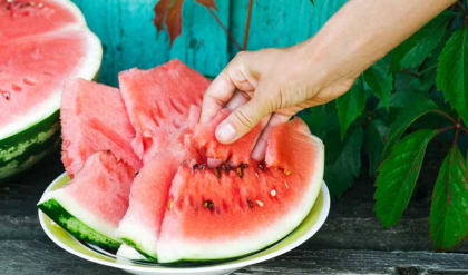 গরমে কেন বারবার মন টানে রসালো ফলে? কারণ জানলে অবাক হবেন!