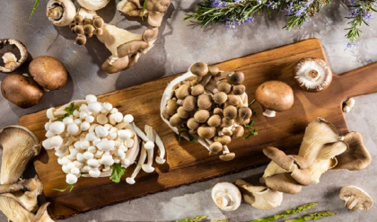 সুপারফুড মাশরুম! পাতে রাখলেই মিলবে এই ৭টি অবিশ্বাস্য স্বাস্থ্য উপকারিতা