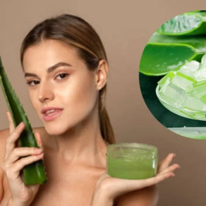 ত্বকের জেল্লা ফিরবে মাত্র ৭ দিনে! অ্যালোভেরা ব্যবহারের এই সঠিক নিয়মটি কি আপনার জানা? ত্বকের জেল্লা ফিরবে মাত্র ৭ দিনে! অ্যালোভেরা ব্যবহারের এই সঠিক নিয়মটি কি আপনার জানা?