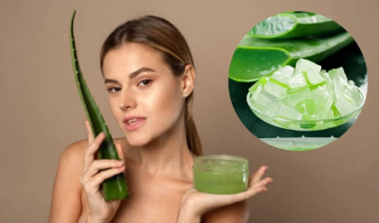 ত্বকের জেল্লা ফিরবে মাত্র ৭ দিনে! অ্যালোভেরা ব্যবহারের এই সঠিক নিয়মটি কি আপনার জানা?