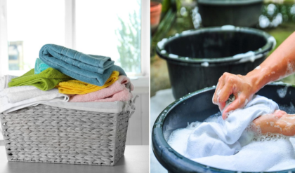 ডিটারজেন্ট ছাড়াই নতুনের মতো ঝকঝক করবে জামাকাপড়! এই জাদুকরী ঘরোয়া কৌশলটি কি আপনার জানা?