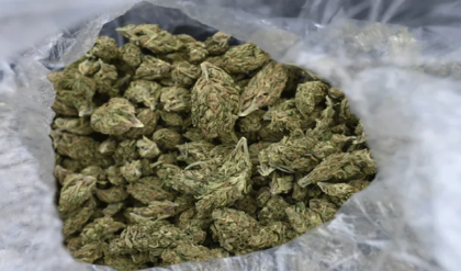 ভোটের মুখে ধুন্ধুমার কাণ্ড! রেলে ৩৬ লক্ষের গাঁজা উদ্ধার, RPF-এর জালে বিশাল মাদক চক্র?