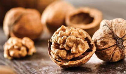 আখরোট কি বেশি খাচ্ছেন? লাভের বদলে শরীরের হতে পারে মারাত্মক ক্ষতি, জেনে নিন বিশেষজ্ঞের মত