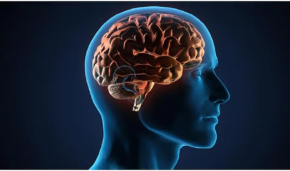 স্মৃতিশক্তি নিয়ে চিন্তিত? ডায়েটে রাখুন এই ৫টি খাবার, ঘোড়ার মতো ছুটবে আপনার বুদ্ধি!