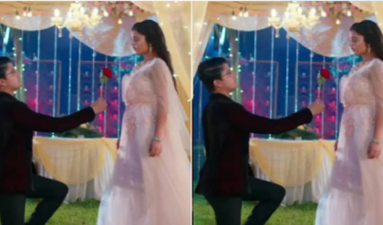 অবশেষে আই লাভ ইউ! মাঝ আকাশে আতশবাজি, কুসুমকে হাঁটু গেড়ে প্রোপোজ আয়ুষ্মানের