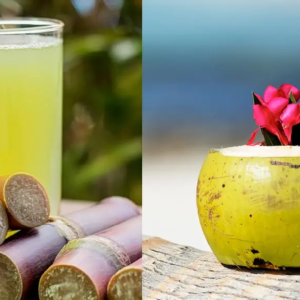 তীব্র দাহদাহে তৃষ্ণা মেটাতে সেরা পানীয় কোনটি? আখের রস না কি ডাব—জেনে নিন আসল সত্যি