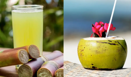 তীব্র দাহদাহে তৃষ্ণা মেটাতে সেরা পানীয় কোনটি? আখের রস না কি ডাব—জেনে নিন আসল সত্যি