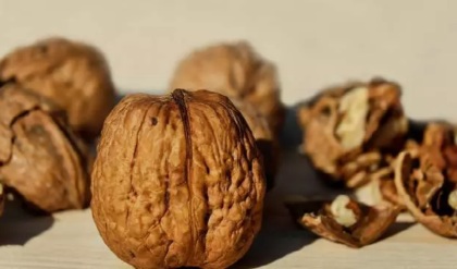 হার্ট থেকে স্মৃতিশক্তি—শরীরের ভোল পাল্টে দেবে এই একটি বাদাম, খাওয়ার সঠিক নিয়ম জানেন কি?