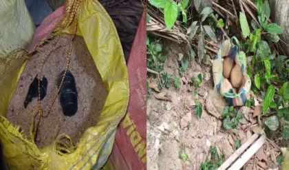 ভোটের মুখে ভাঙড়ে ১০০ বোমা উদ্ধার! এবার সরাসরি তদন্তে নামছে NIA, ত্রাস ছড়ানোর ছকে বিদ্ধ নবান্ন