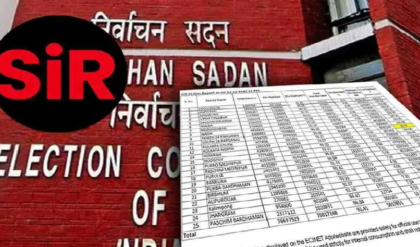 নাম বাদ প্রায় ১ কোটি! মাঝরাতে মেগা আপডেট কমিশনের, নিজের নাম চেক করেছেন তো?