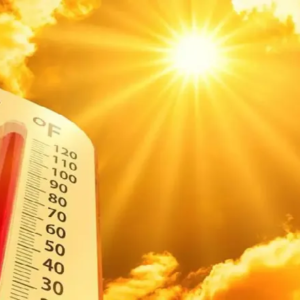 লু-র দাপটে কাঁপছে দিল্লি-রাজস্থান, স্বাভাবিকের চেয়ে ৫ ডিগ্রি চড়ল পারদ! আবহাওয়া দফতরের চরম হুঁশিয়ারি