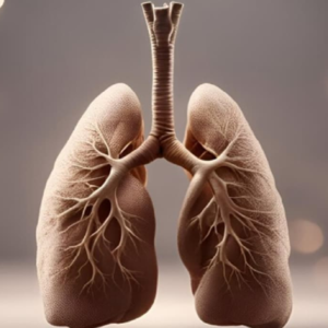 ফুসফুস কি ধীরে ধীরে অচল হয়ে যাচ্ছে? সময় থাকতে সাবধান হোন, এই নিয়মেই ফিরবে প্রাণশক্তি!