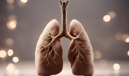 ফুসফুস কি ধীরে ধীরে অচল হয়ে যাচ্ছে? সময় থাকতে সাবধান হোন, এই নিয়মেই ফিরবে প্রাণশক্তি!