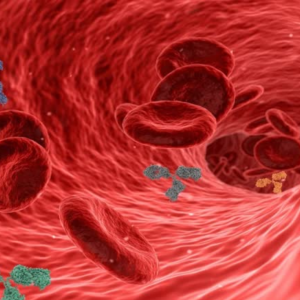 রক্তের সব বিষ ধুয়ে মুছে সাফ করবে এই একটি খাবার! নাম জানলে আপনিও অবাক হবেন