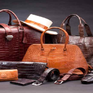 প্রিয় দামী ব্যাগ কি নষ্ট হয়ে যাচ্ছে? কাপড় ও চামড়ার ব্যাগের নতুনের মতো জেল্লা ফেরাতে জানুন জাদুর টিপস! প্রিয় দামী ব্যাগ কি নষ্ট হয়ে যাচ্ছে? কাপড় ও চামড়ার ব্যাগের নতুনের মতো জেল্লা ফেরাতে জানুন জাদুর টিপস!