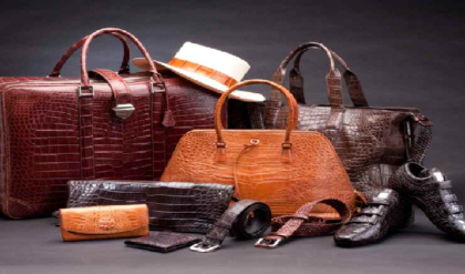 প্রিয় দামী ব্যাগ কি নষ্ট হয়ে যাচ্ছে? কাপড় ও চামড়ার ব্যাগের নতুনের মতো জেল্লা ফেরাতে জানুন জাদুর টিপস!