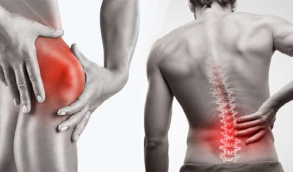 হাঁটু ও কোমরের ব্যথায় কাবু? ফিজিওথেরাপি নয়, এই ৫টি ঘরোয়া টোটকাতেই পাবেন ম্যাজিক আরাম!