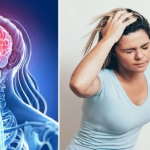 স্ট্রোক কি আগে থেকে সংকেত দেয়? নিজেকে ও পরিবারকে সুরক্ষিত রাখতে মেনে চলুন এই বিশেষ টিপস