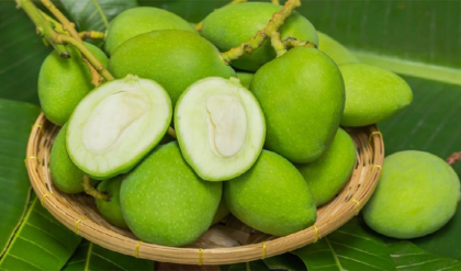 পাকা আমের চেয়েও বেশি গুণ? গরমে কাঁচা আম খাওয়ার আসল ম্যাজিক জানলে অবাক হবেন!