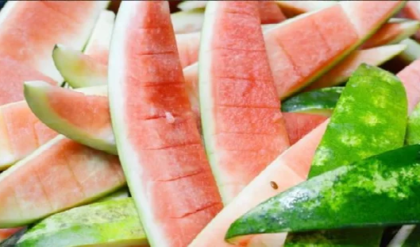 ফেলে দেওয়ার আগে সাবধান! তরমুজের খোসার এই গুণ জানলে অবাক হবেন আপনিও