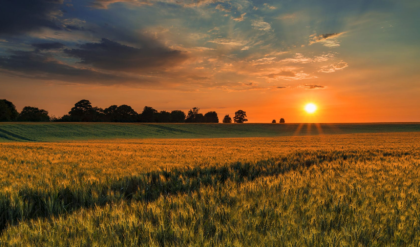 ৪৩ ডিগ্রি ছোঁবে পারদ? রবিবার থেকে দক্ষিণবঙ্গে চরম অস্বস্তিকর গরমের সতর্কতা!