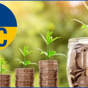 LIC-র ইতিহাস সৃষ্টিকারী সিদ্ধান্ত! বিনামূল্যে শেয়ার পাবেন আপনিও, জেনে নিন সহজ শর্ত