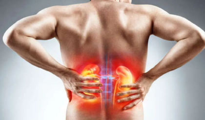 পিঠে ব্যথা মানেই কি কিডনি নষ্টের লক্ষণ? সাধারণ ব্যথা ও কিডনির ব্যথার পার্থক্য চিনে নিন এখনই!