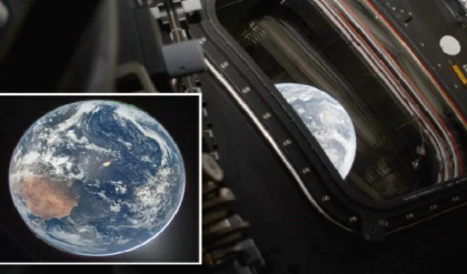 মহাকাশ থেকে ভেসে এল পৃথিবীর মায়াবী রূপ! আর্টেমিস ২-এর পাঠানো ছবি দেখে আপ্লুত বিশ্ব