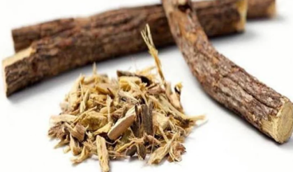 যষ্টিমধুর জাদুকরী গুণ: সর্দি-কাশি থেকে হজমের সমস্যা, এক নিমেষেই সব উধাও! যষ্টিমধুর জাদুকরী গুণ: সর্দি-কাশি থেকে হজমের সমস্যা, এক নিমেষেই সব উধাও!