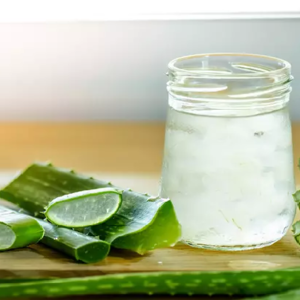 প্রেগন্যান্সি বা ওজন বৃদ্ধির স্ট্রেচ মার্ক নিয়ে চিন্তিত? অ্যালোভেরার এই ম্যাজিক ট্রিকস দূর করবে সব দাগ! প্রেগন্যান্সি বা ওজন বৃদ্ধির স্ট্রেচ মার্ক নিয়ে চিন্তিত? অ্যালোভেরার এই ম্যাজিক ট্রিকস দূর করবে সব দাগ!