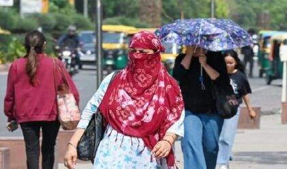 দিল্লিতে তীব্র দহন: তাপমাত্রা ৪৪.৬° পার, আগামী তিন দিন ‘ইয়েলো অ্যালার্ট’ জারি
