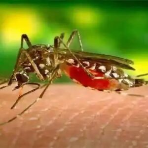 সাধারণ জ্বর নাকি ওত পেতে থাকা ডেঙ্গি? হাতছাড়া হওয়ার আগেই চিনে নিন এই ৫টি মারাত্মক ‘লুকানো’ লক্ষণ