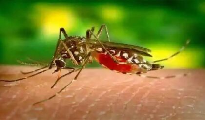 সাধারণ জ্বর নাকি ওত পেতে থাকা ডেঙ্গি? হাতছাড়া হওয়ার আগেই চিনে নিন এই ৫টি মারাত্মক ‘লুকানো’ লক্ষণ