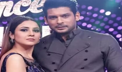 “বিয়েই করব না!” কসম খেয়েও আরসিবির এই তারকা ক্রিকেটারের প্রেমে হাবুডুবু খাচ্ছেন শেহনাজ? ভরা আইপিএলে মেগা ধামাকা