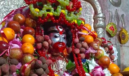 বিদ্যা থেকে অর্থভাগ্য— খুলবে সব দুয়ার! ফলহারিণী কালীপুজোয় কোন নিয়ম মানলে তুষ্ট হবেন দেবী?