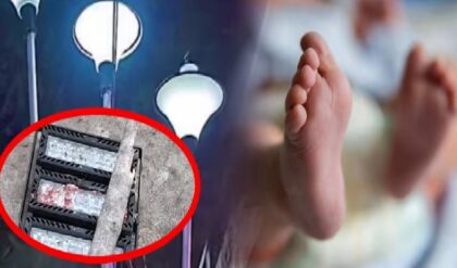 বাতিস্তম্ভের আলো মাথায় পড়ে প্রাণ হারাল গুড়িয়া, খেলার মাঠেই অকাল মৃত্যু শিশুর! বাতিস্তম্ভের আলো মাথায় পড়ে প্রাণ হারাল গুড়িয়া, খেলার মাঠেই অকাল মৃত্যু শিশুর!