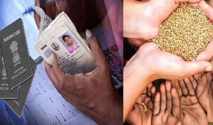 রেশন কার্ডের ভুল তথ্যই বড় বাধা? জেনে নিন নাম-ঠিকানা পরিবর্তনের সহজ অনলাইন পদ্ধতি রেশন কার্ডের ভুল তথ্যই বড় বাধা? জেনে নিন নাম-ঠিকানা পরিবর্তনের সহজ অনলাইন পদ্ধতি