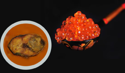 মাছের ডিম কি কেবল স্বাদের খাবার? এর অকল্পনীয় স্বাস্থ্যগুণ জানলে চমকে যাবেন!